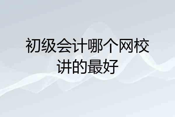 初级会计哪个网校讲的最好