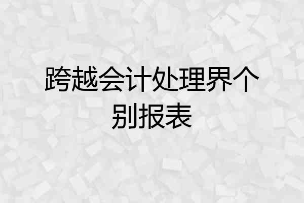 跨越会计处理界个别报表