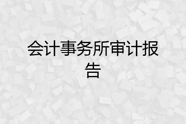 会计事务所审计报告