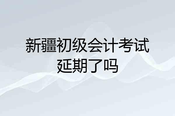 新疆初级会计考试延期了吗