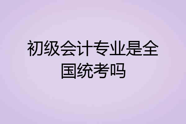 初级会计专业是全国统考吗