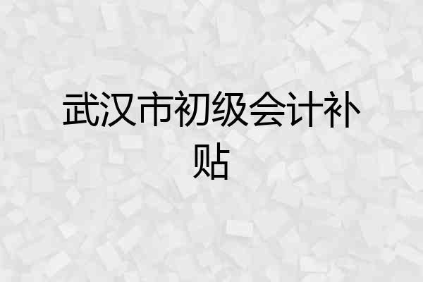 武汉市初级会计补贴