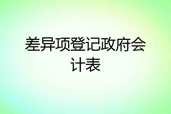 差异项登记政府会计表