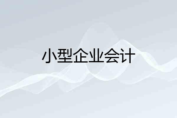 小型企业会计