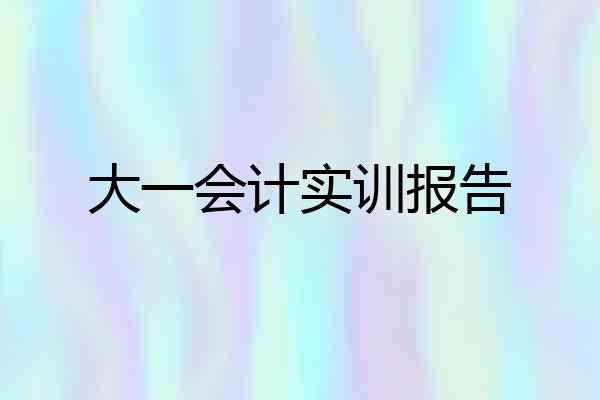 大一会计实训报告