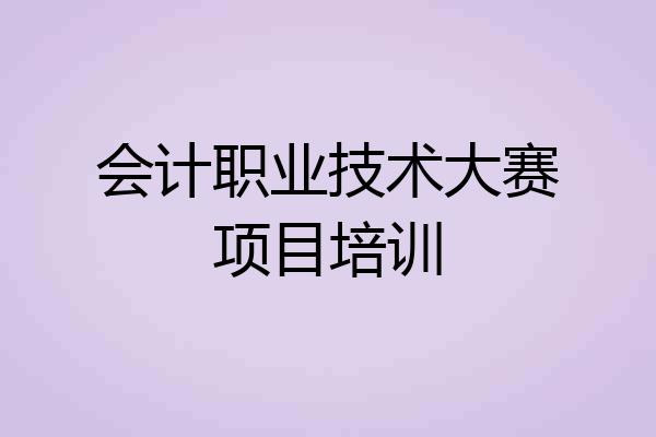 会计职业技术大赛项目培训