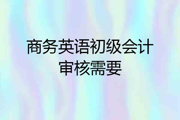 商务英语初级会计审核需要