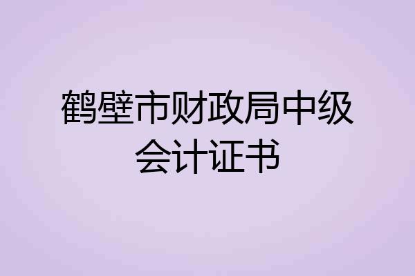 鹤壁市财政局中级会计证书