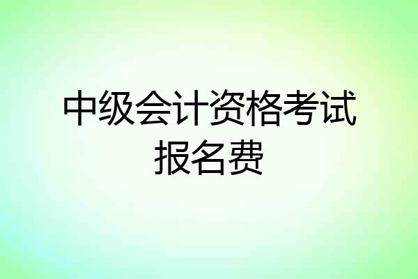 中级会计资格考试报名费
