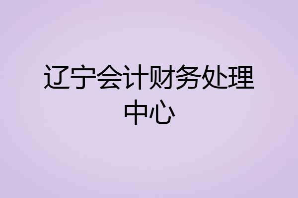 辽宁会计财务处理中心
