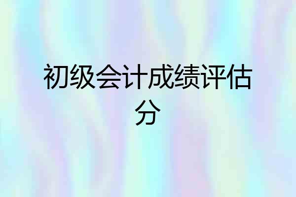 初级会计成绩评估分