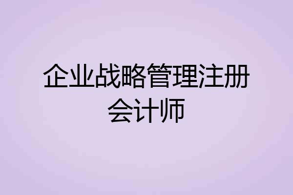企业战略管理注册会计师