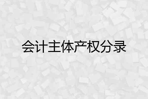 会计主体产权分录