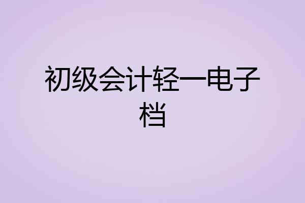 初级会计轻一电子档