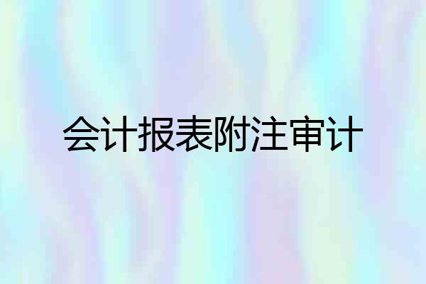 会计报表附注审计