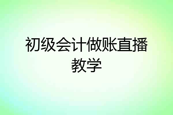 初级会计做账直播教学