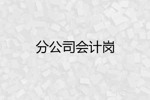 分公司会计岗