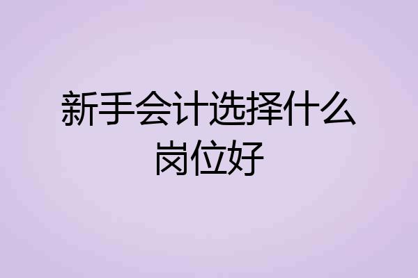 新手会计选择什么岗位好