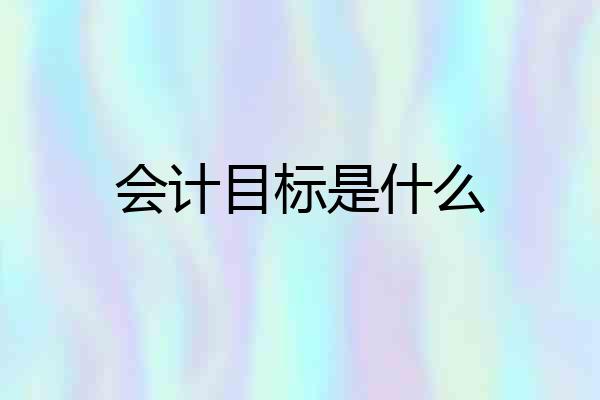 会计目标是什么
