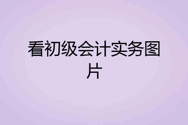 看初级会计实务图片