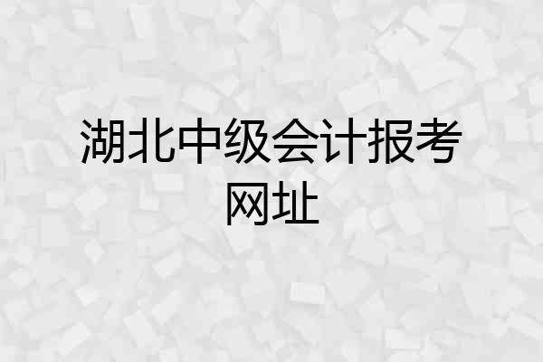湖北中级会计报考网址