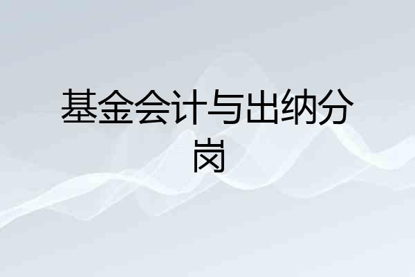 基金会计与出纳分岗