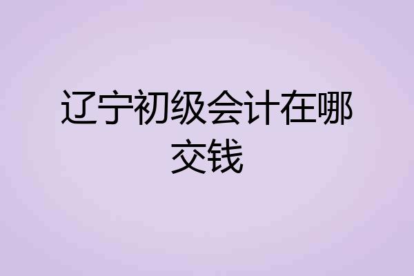 辽宁初级会计在哪交钱