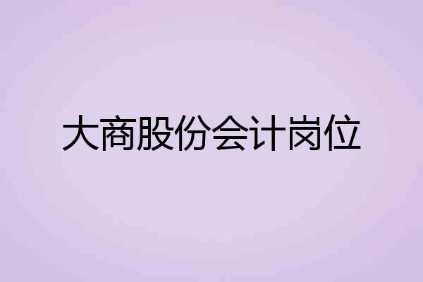 大商股份会计岗位