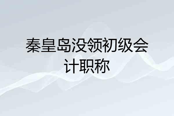 秦皇岛没领初级会计职称