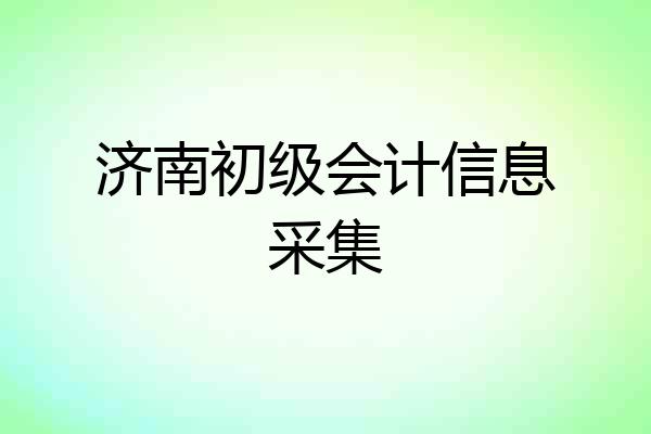 济南初级会计信息采集