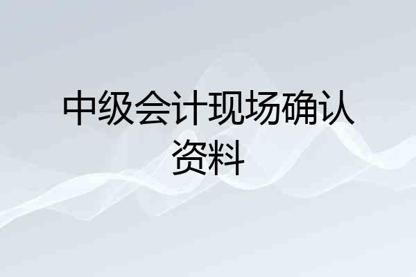 中级会计现场确认资料