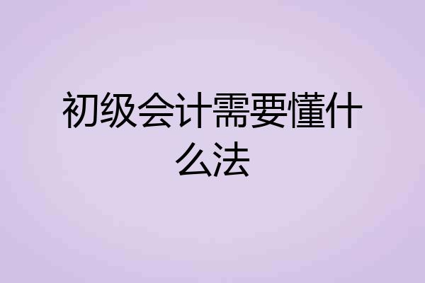 初级会计需要懂什么法