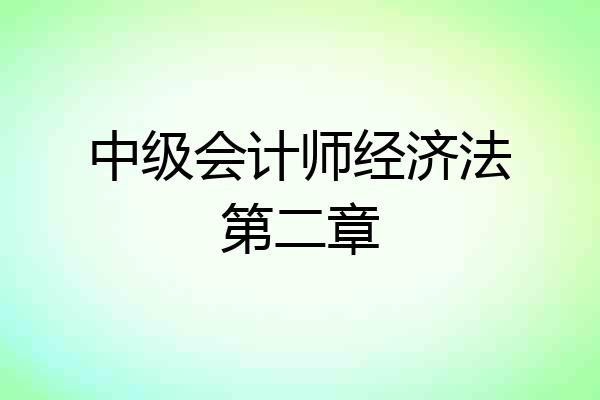 中级会计师经济法第二章