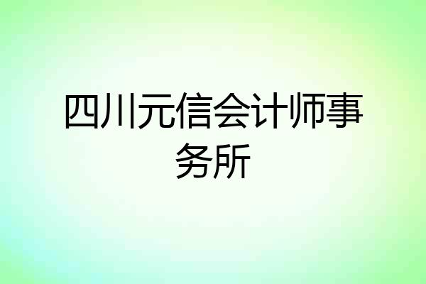 四川元信会计师事务所