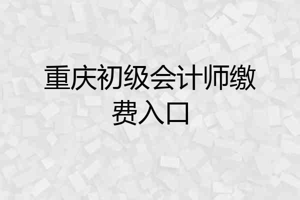 重庆初级会计师缴费入口