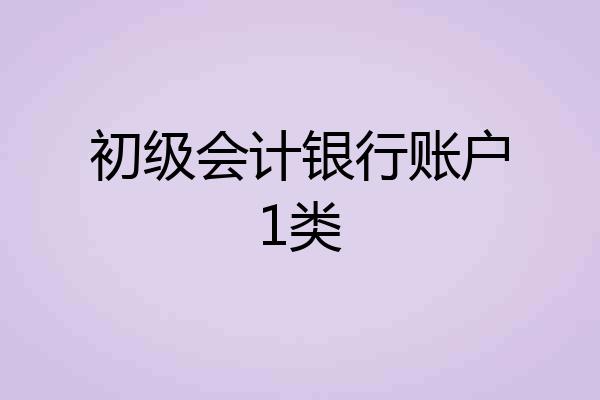 初级会计银行账户1类