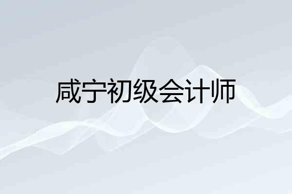 咸宁初级会计师