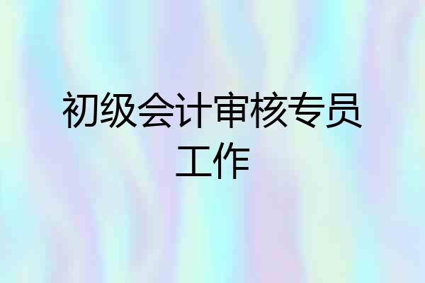 初级会计审核专员工作
