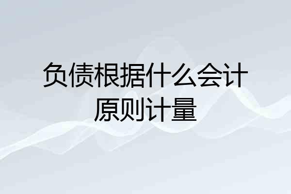 负债根据什么会计原则计量