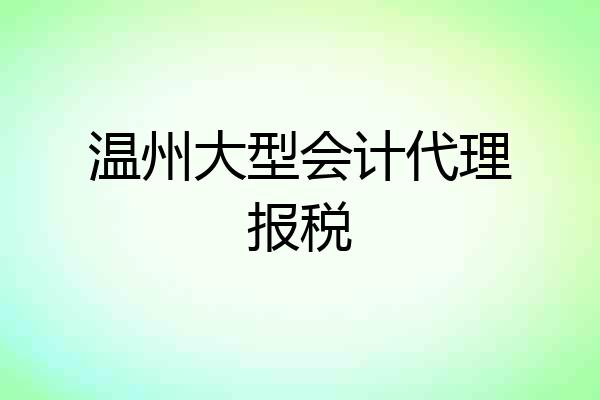 温州大型会计代理报税