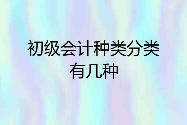 初级会计种类分类有几种