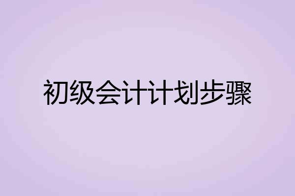 初级会计计划步骤