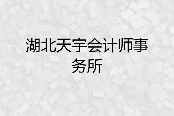 湖北天宇会计师事务所