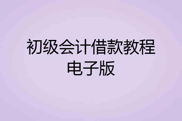 初级会计借款教程电子版