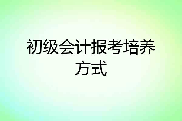 初级会计报考培养方式