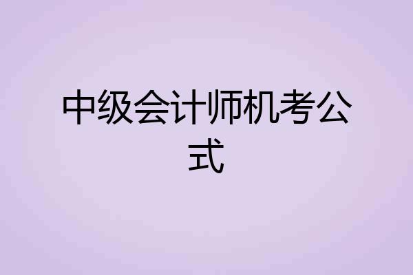 中级会计师机考公式