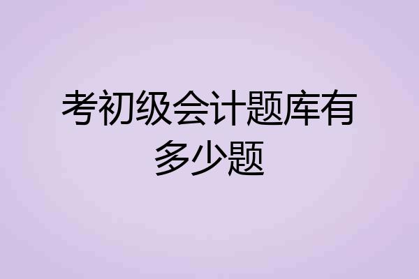考初级会计题库有多少题