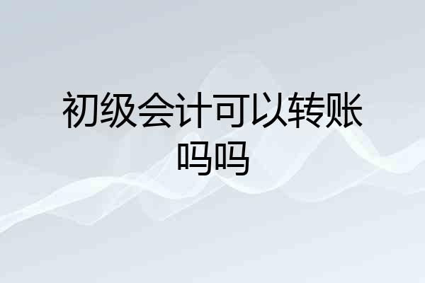 初级会计可以转账吗吗