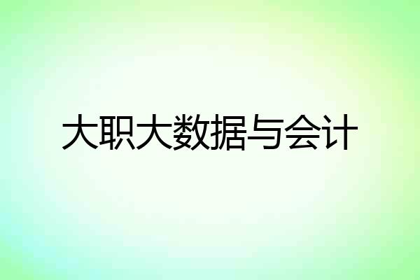 大职大数据与会计