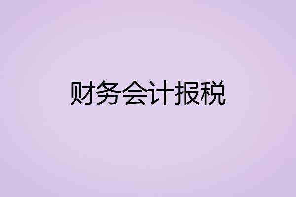 财务会计报税